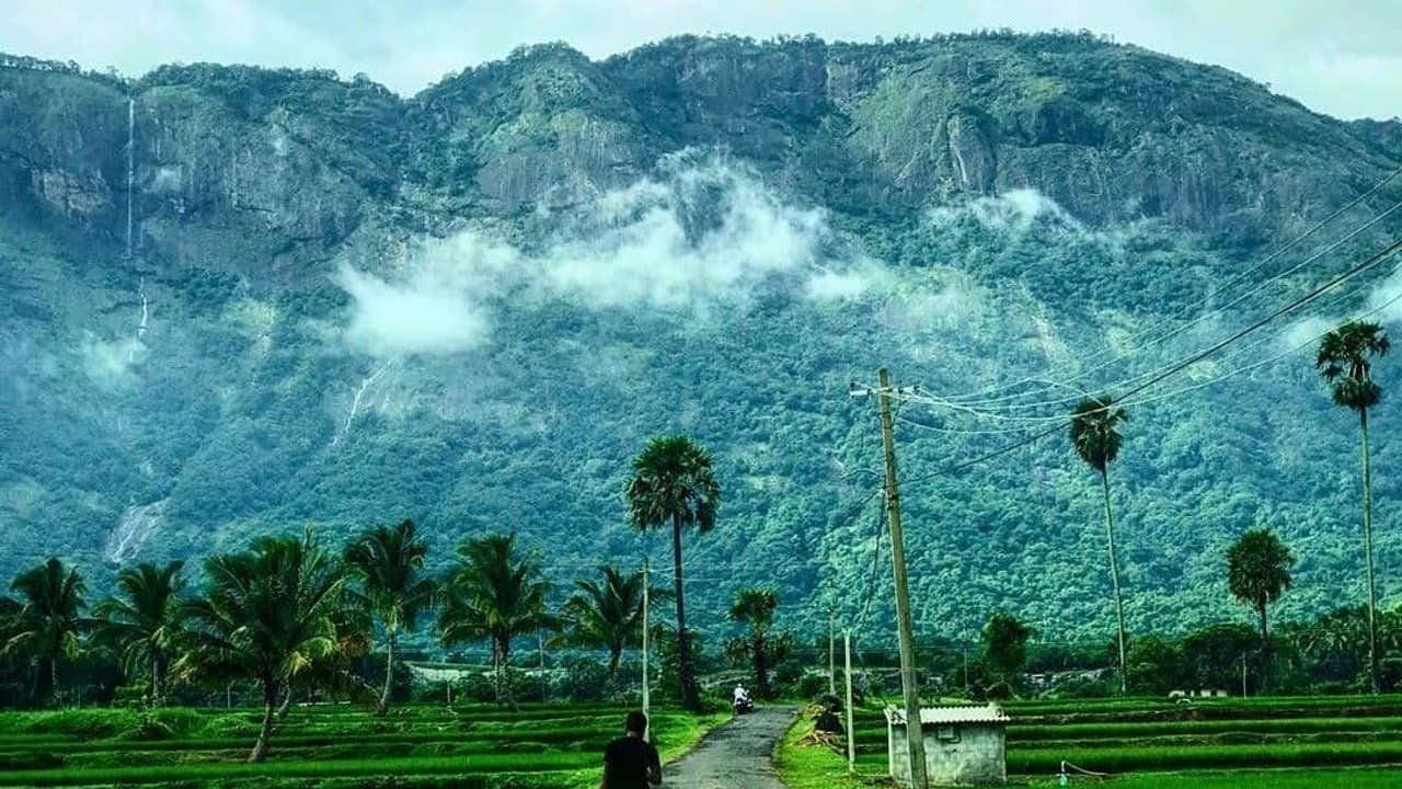 Kollengode, Palakkad, Kerala, India